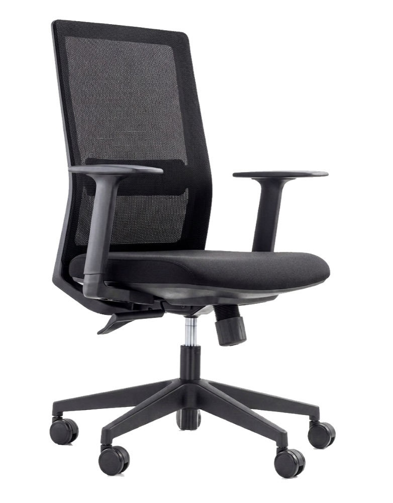 Low Back Mesh Chair (CCI-6208B-AA)